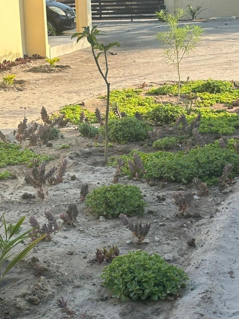 Thito Manor Apartment Maun Luaran gambar